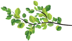 Green Acres Homes - Leaf 2