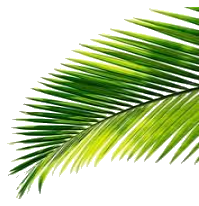 Green Acres Homes - Leaf 4