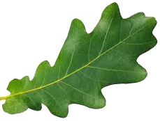 Green Acres Homes - Leaf 5